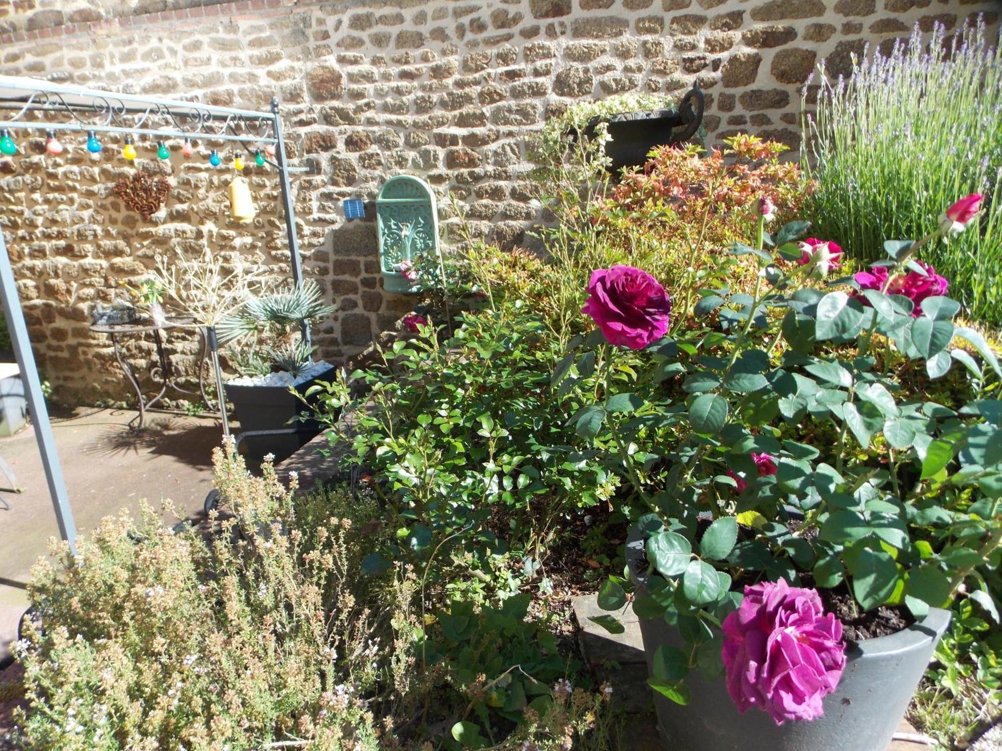 La Vie De Chateau En Toute Amitie Et Simplicite Montaudin Exterior foto